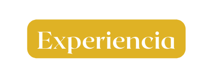 Experiencia